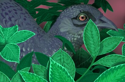 Hen Pheasant In The Quantum Realm - a Digital Art Artowrk by Kerry Eddy